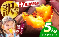 [訳あり][期間限定12月下旬まで]さつまいも シルクスイート 5kg 野菜 やさい 訳あり 訳アリ サツマイモ 大阪府高槻市/ベジ彩ファーム [AOEJ014]