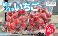 【先行予約】やよいひめ 冷凍いちご 2kg ｜ いちご やよいひめ スムージー アイス ジャム ひんやり 冷凍 群馬県産 れいわいちご園 れいわイチゴ園 れいわブドウ園 れいわぶどう園 群馬県 前橋市