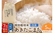 【定期便3ヶ月】《令和7年産 新米受付》米 特別栽培米 あきたこまち【精白米】5kg（5kg×1袋）ローズメイ 秋田県 大仙市産
