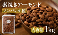 【6回定期便】素焼き アーモンド 1kg（1kg × 1袋）ノンパレル種 ロースト 焙煎 食塩不使用 食用油不使用  防災食品 防災用 非常食 保存食 備蓄食 岐阜県 大垣市