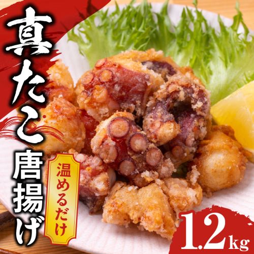 【簡単調理】ぶつ切り 真たこ 唐揚げ 1.2kg【バラ凍結 温めるだけ タコ 惣菜 おつまみ カット済み 訳あり サイズ不揃い】 G3472 2307378 - 大阪府泉佐野市