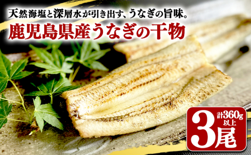 鹿児島県産　うなぎ干物　1尾（120g以上）×3袋 2307416 - 鹿児島県垂水市