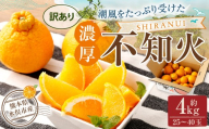 【訳あり】 ご家庭用 濃厚不知火 10～20玉 （ 約4kg ） デコポン みかん 柑橘 果物 フルーツ 熊本 【2026年2月下旬～3月上旬迄発送予定】