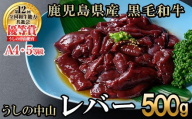 うしの中山 A4・A5等級黒毛和牛 レバー 500g（500g×1P）黒毛和牛 和牛 肉 ホルモン 国産 九州産 鹿児島県産 焼肉 炒め物  牛レバー 冷凍 日本一 p9-034