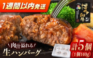 【年内発送】博多和牛ハンバーグ140g×5個入り ▼最速発送 ステーキ 焼肉 焼き肉 牛 バーベキュー BBQ 国産 高評価 おいしい 人気 ランキング 贈答 ギフト 贈り物 送料無料 通販 お取り寄せ 桂川町/JA全農ミートフーズ株式会社 [ADCB011]