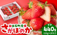 【R8年1月以降発送】白石産いちご「さがほのか」 220g×2パック 【岸川農園】 [IAP048]
