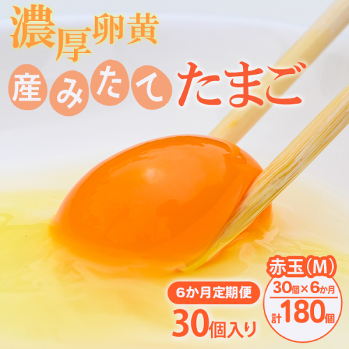 【6ヶ月定期便】小久保ファーム 濃厚卵黄 産みたてたまご 赤玉30個入り（M玉） | 定期便 6カ月 6回 卵 30個 赤玉 玉子 たまご タマゴ 生卵 鶏卵 産みたて 新鮮 濃厚 健康 国産 ギフト 贈答 贈り物 お中元 お歳暮 プレゼント 農家直送 _EI06 2307927 - 茨城県古河市