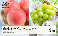 《先行予約》シャインマスカット 秀品 & 白桃 詰め合わせ 3kg 令和8年産 2026年産 果物 桃 白桃 ※沖縄・離島への配送不可 ns-fshsx3