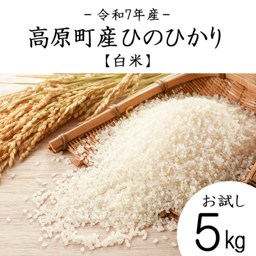 【令和7年産 新米】宮崎県高原町産 ひのひかり白米 5kg TF00854-P00079 2308003 - 宮崎県高原町