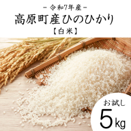 【令和7年産 新米】宮崎県高原町産 ひのひかり白米 5kg TF00854-P00079