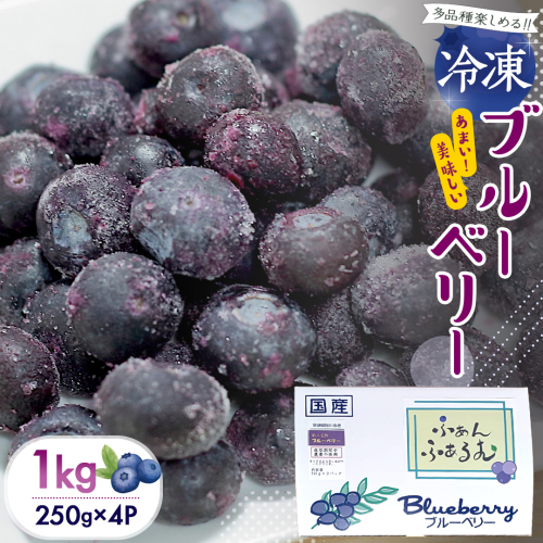 茨城県産 冷凍 ブルーベリー 合計 1kg (250g×4袋) 多品種 果実 果物 くだもの フルーツ おやつ ブルーベリー ベリー ジャム 小分け [DZ018sa] 2308004 - 茨城県桜川市