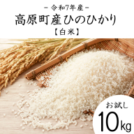 【令和7年産 新米】宮崎県高原町産 ひのひかり白米 10kg TF00856-P00079
