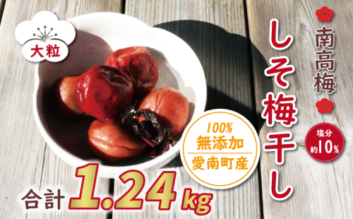 数量限定 南高梅 大粒 しそ漬け 梅干し 1.24kg 塩分 約 10% 8000円 無選別 家庭用 梅 梅干 うめぼし うめ ウメ シソ 紫蘇 1kg 以上 国産 漬物 つけもの ピクルス おかず 常備 保存 無添加 産地直送 自然派 農家直送 小分け 便利 ささなピクルス 愛南町 愛媛県 2308144 - 愛媛県愛南町
