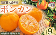 田島柑橘園&加工所のポンカン9kg　みかん 柑橘 蜜柑 ぽんかん ポンカン 完熟 果物 くだもの 果実 かんきつ オレンジ フルーツ ジューシー 果肉 ビタミン 佐賀県 太良町 OA16