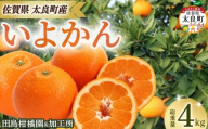 田島柑橘園&加工所のいよかん4kg　みかん 柑橘 蜜柑 いよかん 伊予柑 完熟 果物 くだもの 果実 かんきつ フルーツ ジューシー 果肉 ビタミン 佐賀県 太良町 NB63