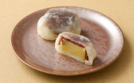 【10月発送】白いきなりだんご 10個 いきなりだんご いきなり団子 熊本名物 だんご 団子 和菓子