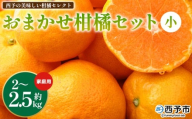 ＜西予の美味しい柑橘セレクト（ご家庭用）／おまかせ柑橘セット（小）約2～2.5kg＞ 果物 くだもの フルーツ 蜜柑 みかん ミカン 柑橘 ご家庭用 温州みかん 食べて応援 国産 愛媛県産 特産品 西予みかん倶楽部 愛媛県 西予市『1月に順次発送』【常温】