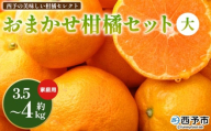 ＜西予の美味しい柑橘セレクト（ご家庭用）／おまかせ柑橘セット（大）約3.5～4kg＞ 果物 くだもの フルーツ 蜜柑 みかん ミカン 柑橘 ご家庭用 温州みかん 食べて応援 国産 愛媛県産 特産品 西予みかん倶楽部 愛媛県 西予市『3月に順次発送』【常温】