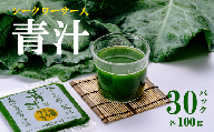 青汁シークワーサー入り 100g × 30 パック ＜離島・沖縄配送不可＞【 茨城県 つくば市 飲料 ドリンク あおじる 青汁 健康  無添加 有機ケール オーガニックケール 】