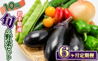 岩手県産 野菜セット 10品 6ヶ月 定期便 ／ 野菜 やさい 詰め合わせ 詰合せ 詰合わせ 旬 新鮮 国産 季節 季節野菜 おまかせ 春野菜 夏野菜 秋野菜 山菜 葉野菜 葉物 根菜 果菜 冷蔵 冷蔵発送 家庭用 自宅用 仕送り 人気 おすすめ 岩手県 滝沢 滝沢市