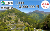 【 返礼品なし 3,000,000円 】 徳島県 三好市 への 寄附 応援寄附金
