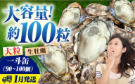 【1月9日（金）着】牡蠣 生食 殻付き かき カキ 【生牡蠣】【1月発送】大容量！かきうちの殻付き一斗缶 かき 海鮮 和食 海産物簡単 レシピ 広島県産 江田島市/株式会社かきうち [XBK014]