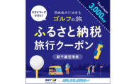 Good Trip Golf 茨城　ふるさと納税旅行クーポンA(3,000円分)茨城県【1574007】