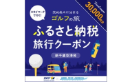 Good Trip Golf 茨城　ふるさと納税旅行クーポンD(30,000円分)茨城県【1574035】