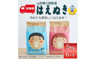 ＜毎月定期便＞山形県産　はえぬき　精米　5kg全6回【4074791】