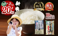 下野市産コシヒカリ 5kg |  米 こめ コメ kome 白米 精米 お米 こしひかり ｺｼﾋｶﾘ 新米 栃木米 令和7年度米 令和7年度 2025年度米 2025年度 ブランド米 栃木県 特産品 送料無料 栃木県 下野市 しもつけ市