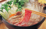 くまもと あか牛(GI) すき焼き用 500g 牛肉 熊本 お肉
