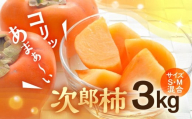 ≪2025年度産≫豊橋石巻柿工房の『次郎柿』3kg