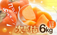 ≪先行予約≫ 豊橋石巻柿工房の『次郎柿』6kg