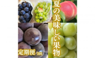 【2026年度先行予約】【定期便3回】夏の美味しい果物