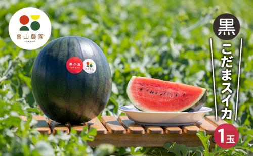 【2026夏発送】黒こだま スイカ 1玉 (2kg以上) 北海道 富良野産 すいか 西瓜 夏 フルーツ ふらの 甘い 糖度 小玉 (畠山農園) 2309479 - 北海道富良野市
