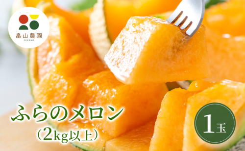【2026夏発送】ふらのメロン 1玉 (2kg以上) 北海道 富良野産 メロン めろん 夏 果物 フルーツ ふらの 甘い 糖度 (畠山農園) 2309480 - 北海道富良野市