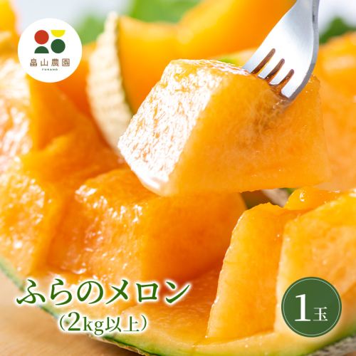 【2026夏発送】ふらのメロン 1玉 (2kg以上) 北海道 富良野産 メロン めろん 夏 果物 フルーツ ふらの 甘い 糖度 (畠山農園) 2309480 - 北海道富良野市