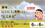 ◎令5年産米◎四万十育ちの美味しい仁井田米。高知のにこまるは四万十の仁井田米【6㎏×6回の定期便】Sbmu-04 米 おこめ 精米 特別栽培米 受賞 おいしい おすすめ 人気