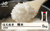 ＜先行予約＞新米 米 はえぬき 精米 5kg 令和7年産 2025年産 山形県産 12月中旬〜12月下旬頃に順次発送 tf-hasxb5-12s