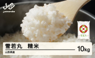 ＜先行予約＞新米 米 雪若丸 精米 10kg 令和7年産 2025年産 山形県産 12月上旬〜12月中旬頃に順次発送 tf-ywsxb10-12f
