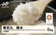 ＜先行予約＞新米 米 雪若丸 精米 5kg 令和7年産 2025年産 山形県産 12月中旬〜12月下旬に順次発送 tf-ywsxb5-12s