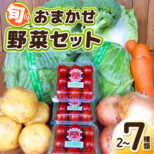 旬のおまかせ野菜 セット 2～7種類【産地直送 国産 やさい 新鮮 おまかせ 詰め合わせ 詰合せ】 G3452 2309604 - 大阪府泉佐野市