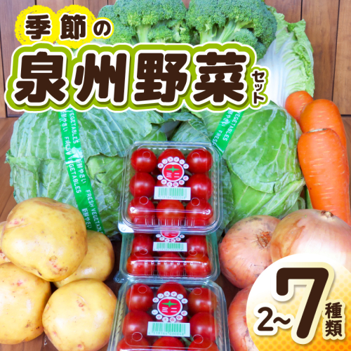 季節の野菜セット 2～7種類【国産 新鮮 おまかせ 詰め合わせ】 G3452 2309604 - 大阪府泉佐野市