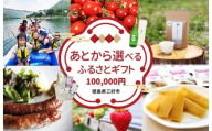 三好市 ふるさと納税 カタログ寄付 10万円コース ゆっくりえらべる カタログ あとから選べる 肉 米 野菜 酒 観光 宿泊 体験 アクティビティ 定期便 スイーツ フルーツ 選べる ギフト セレクト 【 徳島県 三好市 】