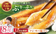 【12回定期便】【M】一夜干し 塩干し（アジ/サバ）計8尾 五島市/愛情食彩 [PCH020]