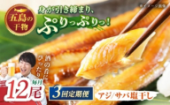 【3回定期便】【L】一夜干し 塩干し（アジ/サバ）計12尾 五島市/愛情食彩 [PCH026]