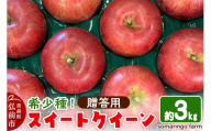 【25年10月発送】りんご 希少！スイートクイーン 約3kg【贈答用】somaringo farm