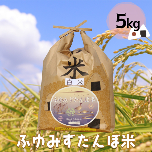 宮城県産 無農薬白米「ふゆみずたんぼ米」5kg｜大崎市田尻のブランド米・ご飯に最適【精米済・送料無料】 2312153 - 宮城県大崎市