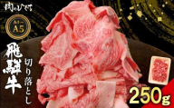 飛騨牛 切り落とし 250g A5 A4 国産 牛 黒毛和牛 和牛 牛肉 切落し 切り落し 薄切り 訳あり 牛丼 すき焼き しゃぶしゃぶ 炒め物 東白川村 岐阜 飛騨 贅沢 霜降り ロース バラ もも ウデ 肉のひぐち