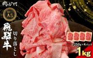 飛騨牛 切り落とし 1kg（250g×4P） A5 A4 国産 牛 黒毛和牛 和牛 牛肉 切落し 切り落し 薄切り 訳あり 牛丼 すき焼き しゃぶしゃぶ 炒め物 東白川村 岐阜 飛騨 贅沢 霜降り ロース バラ もも ウデ 肉のひぐち